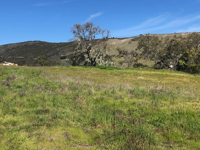 0 Arroyo Seco, GREENFIELD, California 93927, ,Lots And Land,For Sale,Arroyo Seco,40965395
