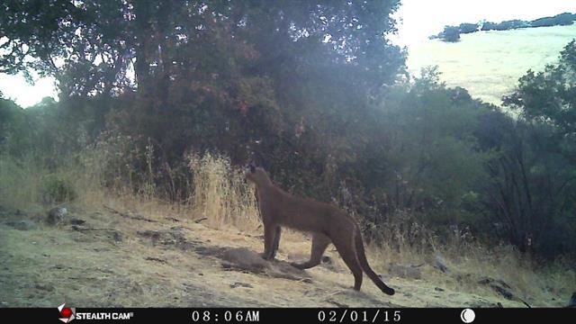 0 Arroyo Seco, GREENFIELD, California 93927, ,Lots And Land,For Sale,Arroyo Seco,40965395