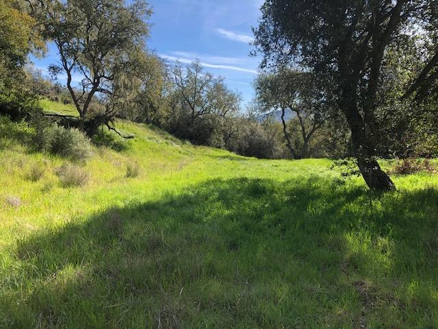 0 Arroyo Seco, GREENFIELD, California 93927, ,Lots And Land,For Sale,Arroyo Seco,40965395