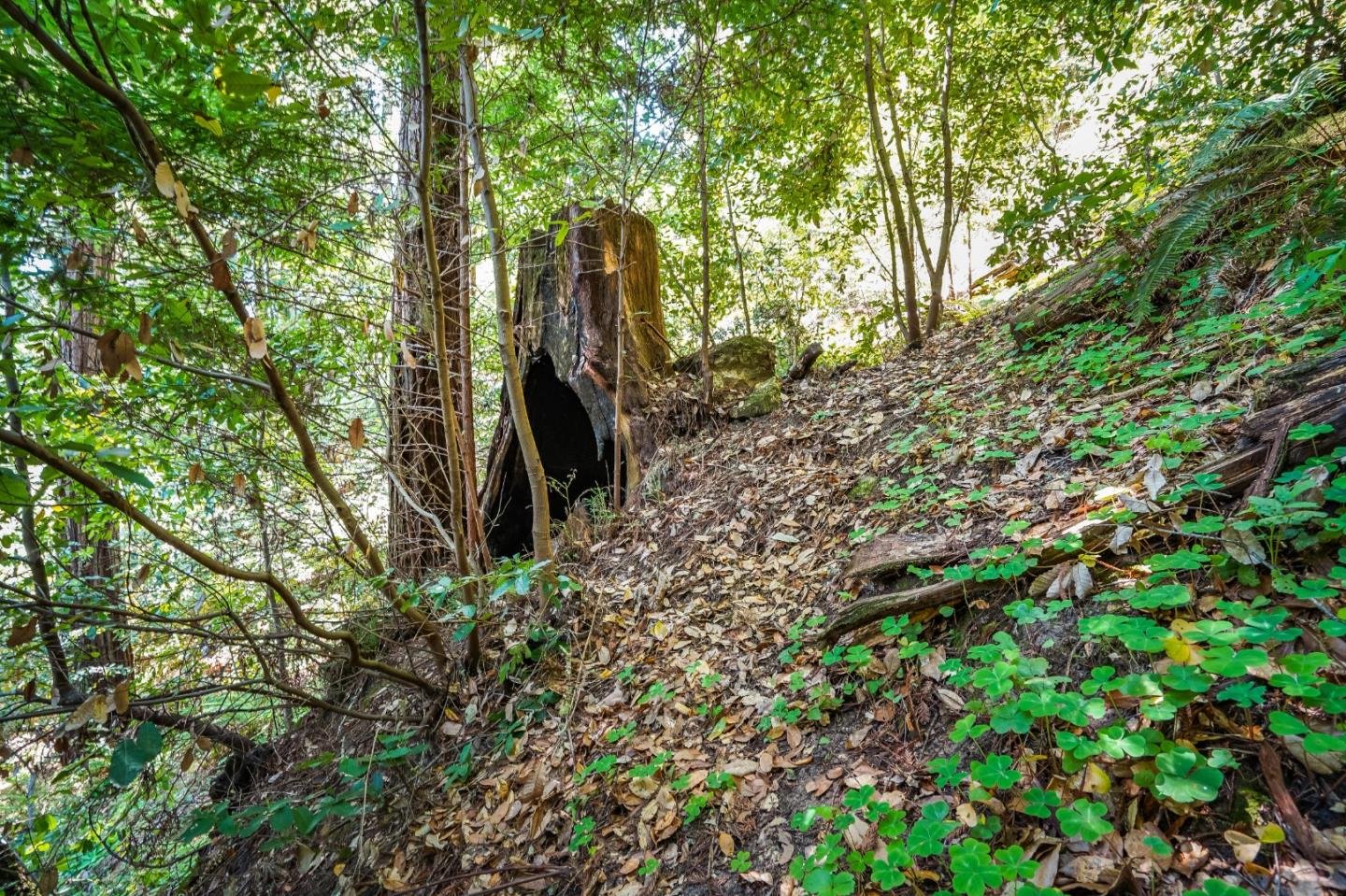 427 Holmwood Hollow, SCOTTS VALLEY, California 95066, ,Lots And Land,For Sale,Holmwood Hollow,40973280
