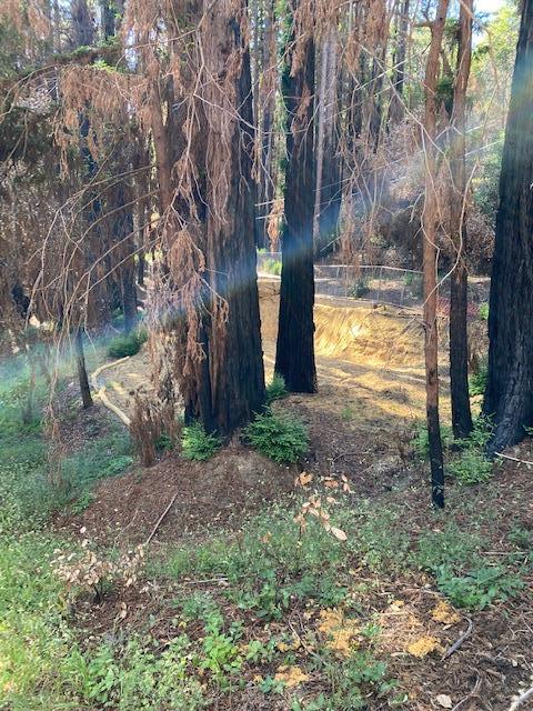 861 Cherrywood Road, BOULDER CREEK, California 95006, ,Lots And Land,For Sale,Cherrywood Road,40965409