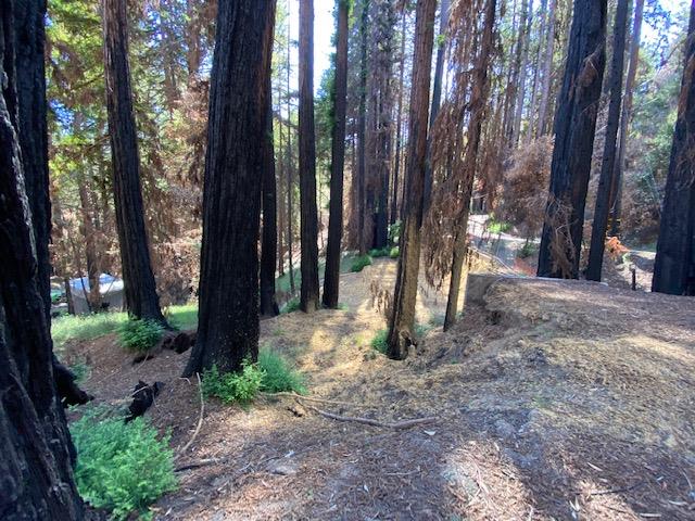 861 Cherrywood Road, BOULDER CREEK, California 95006, ,Lots And Land,For Sale,Cherrywood Road,40965409