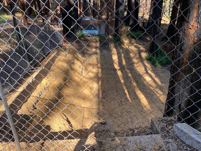 861 Cherrywood Road, BOULDER CREEK, California 95006, ,Lots And Land,For Sale,Cherrywood Road,40965409