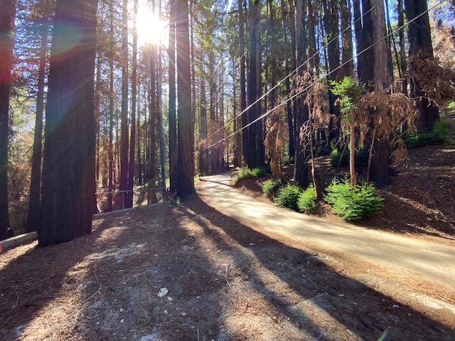 861 Cherrywood Road, BOULDER CREEK, California 95006, ,Lots And Land,For Sale,Cherrywood Road,40965409