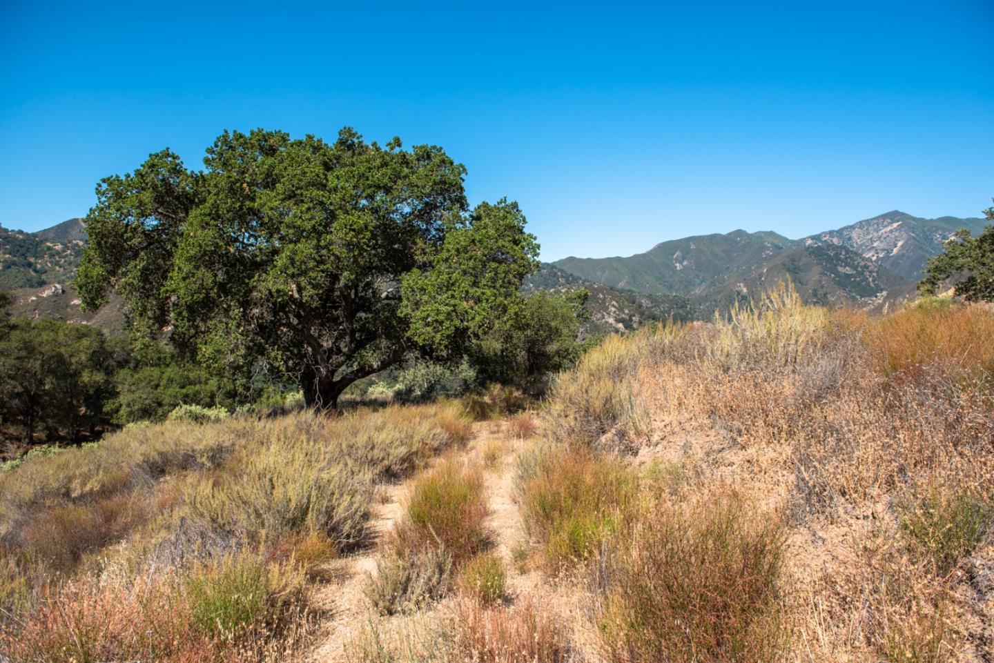 47292 Arroyo Seco Road, GREENFIELD, California 93927, ,Lots And Land,For Sale,Arroyo Seco Road,40965410