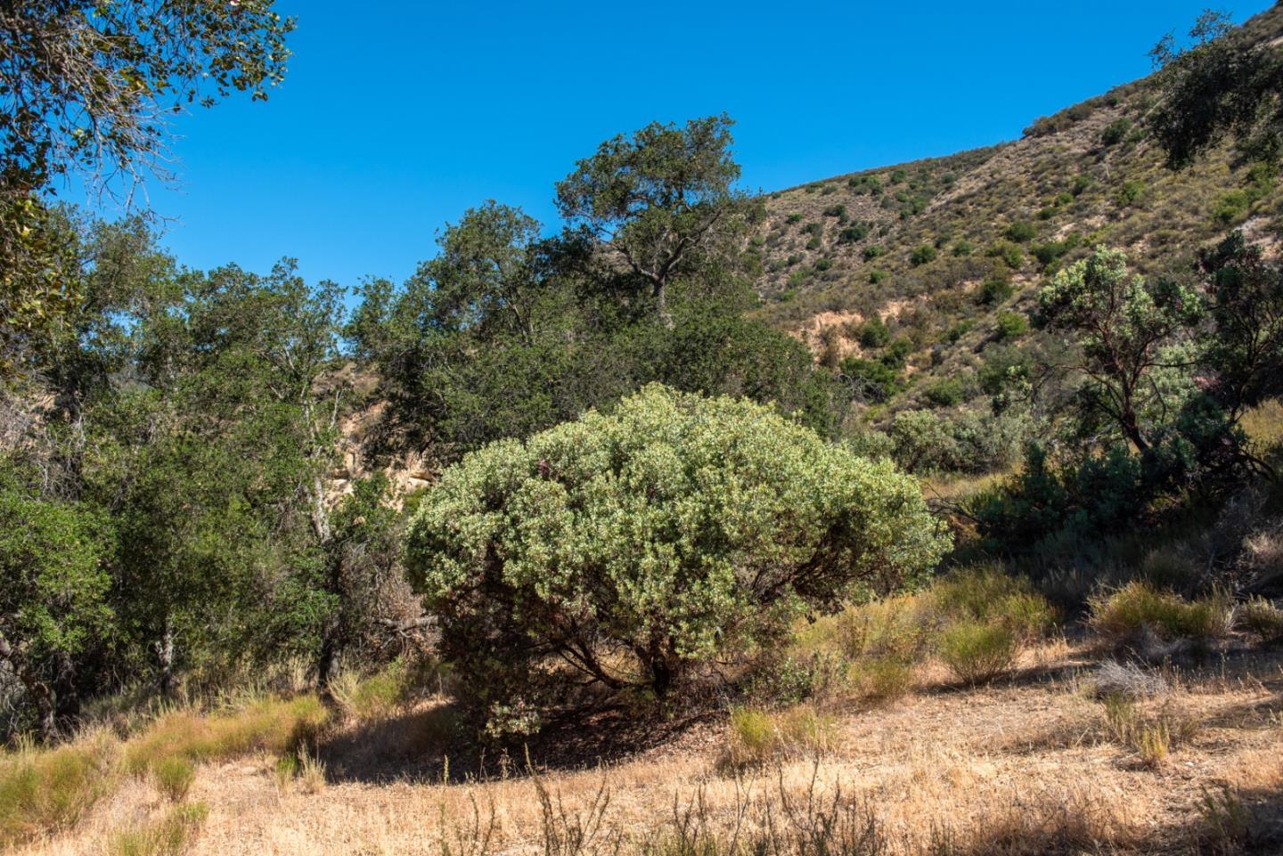 47292 Arroyo Seco Road, GREENFIELD, California 93927, ,Lots And Land,For Sale,Arroyo Seco Road,40965410
