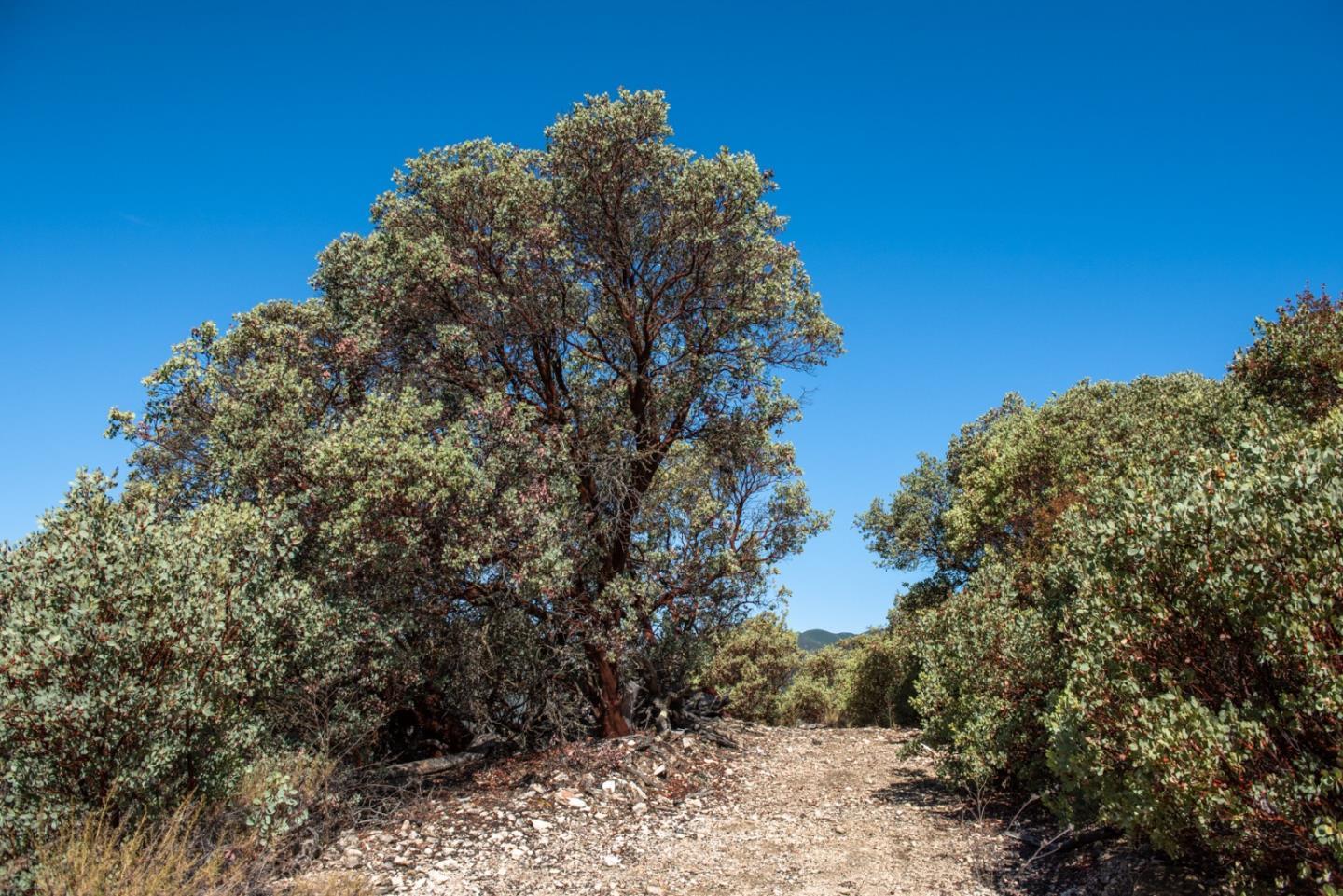 47292 Arroyo Seco Road, GREENFIELD, California 93927, ,Lots And Land,For Sale,Arroyo Seco Road,40965410