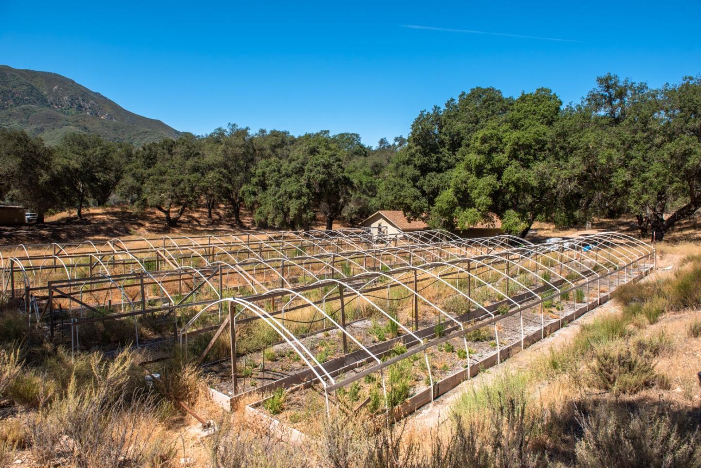 47292 Arroyo Seco Road, GREENFIELD, California 93927, ,Lots And Land,For Sale,Arroyo Seco Road,40965410