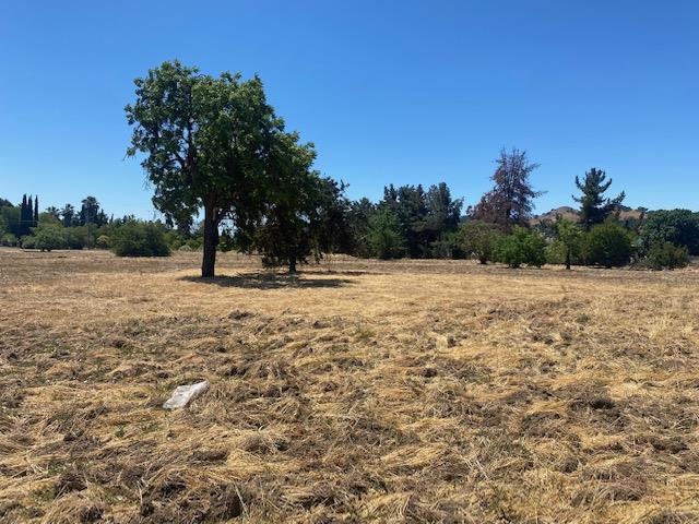 545 San Martin Avenue, SAN MARTIN, California 95046, ,Lots And Land,For Sale,San Martin Avenue,40965413