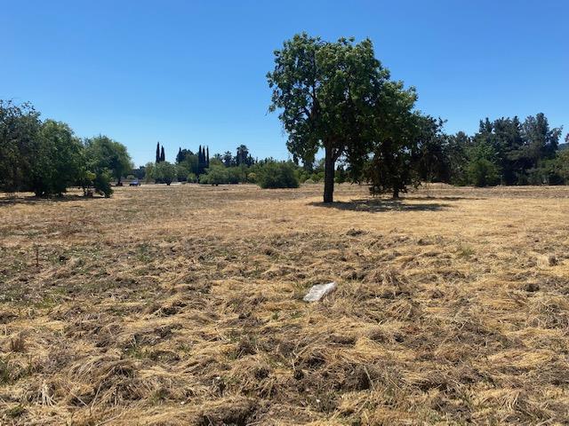 545 San Martin Avenue, SAN MARTIN, California 95046, ,Lots And Land,For Sale,San Martin Avenue,40965413