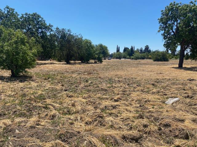 545 San Martin Avenue, SAN MARTIN, California 95046, ,Lots And Land,For Sale,San Martin Avenue,40965413