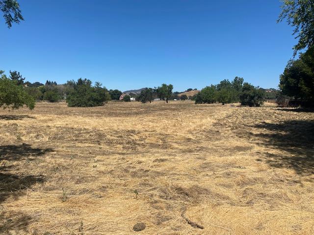 545 San Martin Avenue, SAN MARTIN, California 95046, ,Lots And Land,For Sale,San Martin Avenue,40965413