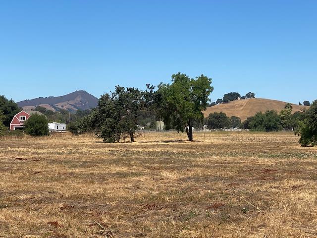 545 San Martin Avenue, SAN MARTIN, California 95046, ,Lots And Land,For Sale,San Martin Avenue,40965413