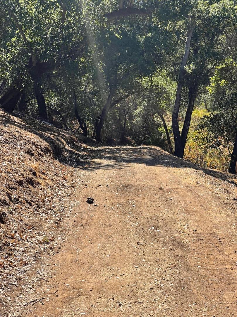 3005 Tohara Way, MORGAN HILL, California 95037, ,Lots And Land,For Sale,Tohara Way,40965419