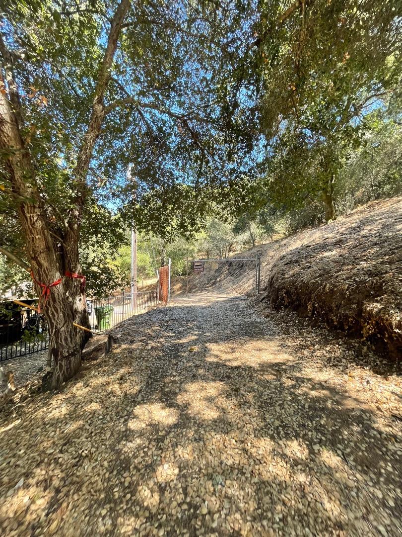 3005 Tohara Way, MORGAN HILL, California 95037, ,Lots And Land,For Sale,Tohara Way,40965419