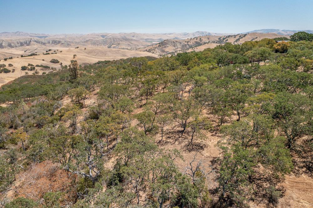 00 Cienega Road, HOLLISTER, California 95023, ,Lots And Land,For Sale,Cienega Road,40965421