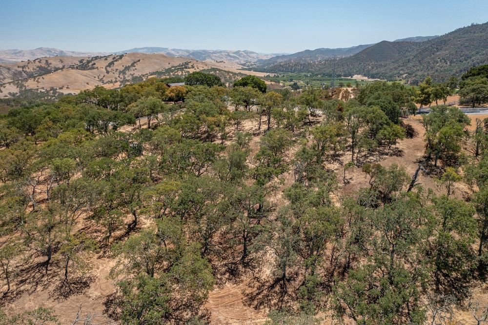 00 Cienega Road, HOLLISTER, California 95023, ,Lots And Land,For Sale,Cienega Road,40965421