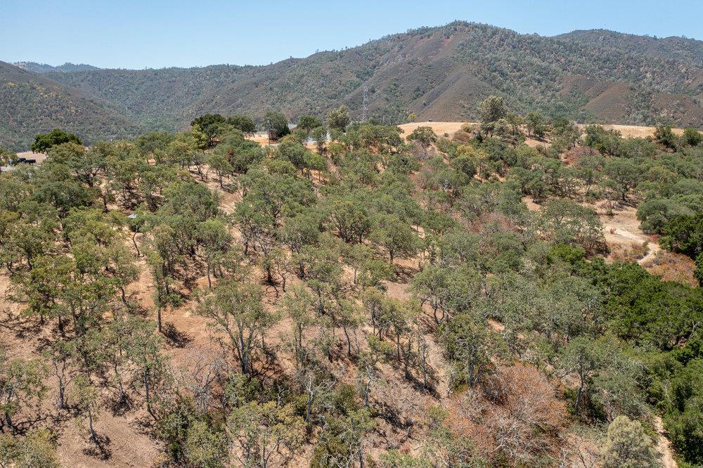 00 Cienega Road, HOLLISTER, California 95023, ,Lots And Land,For Sale,Cienega Road,40965421