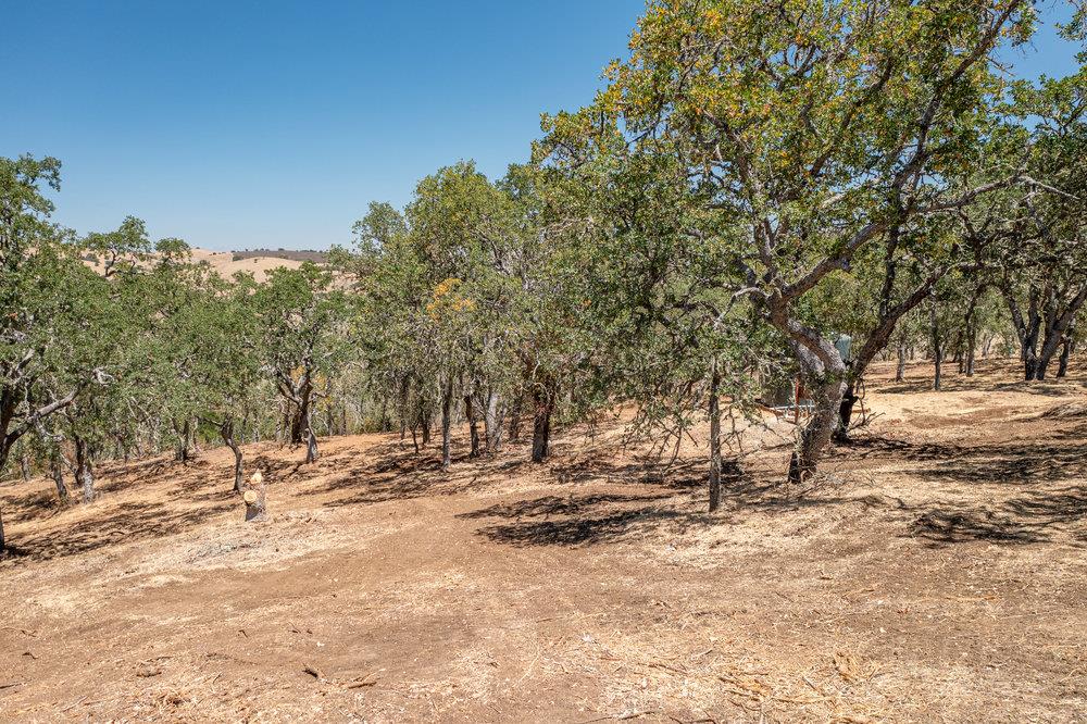 00 Cienega Road, HOLLISTER, California 95023, ,Lots And Land,For Sale,Cienega Road,40965421