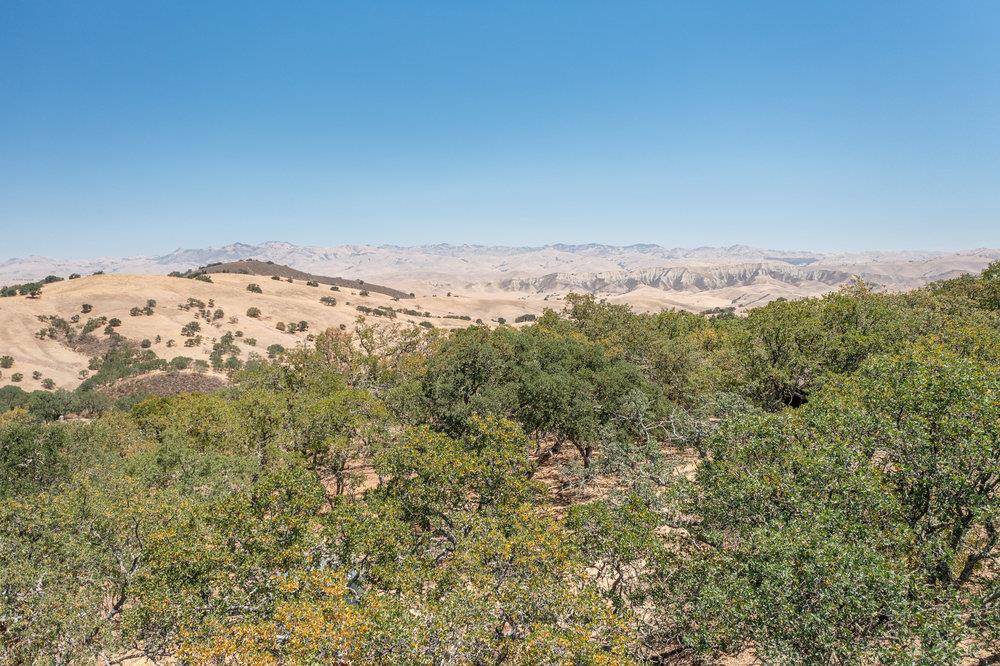 00 Cienega Road, HOLLISTER, California 95023, ,Lots And Land,For Sale,Cienega Road,40965421