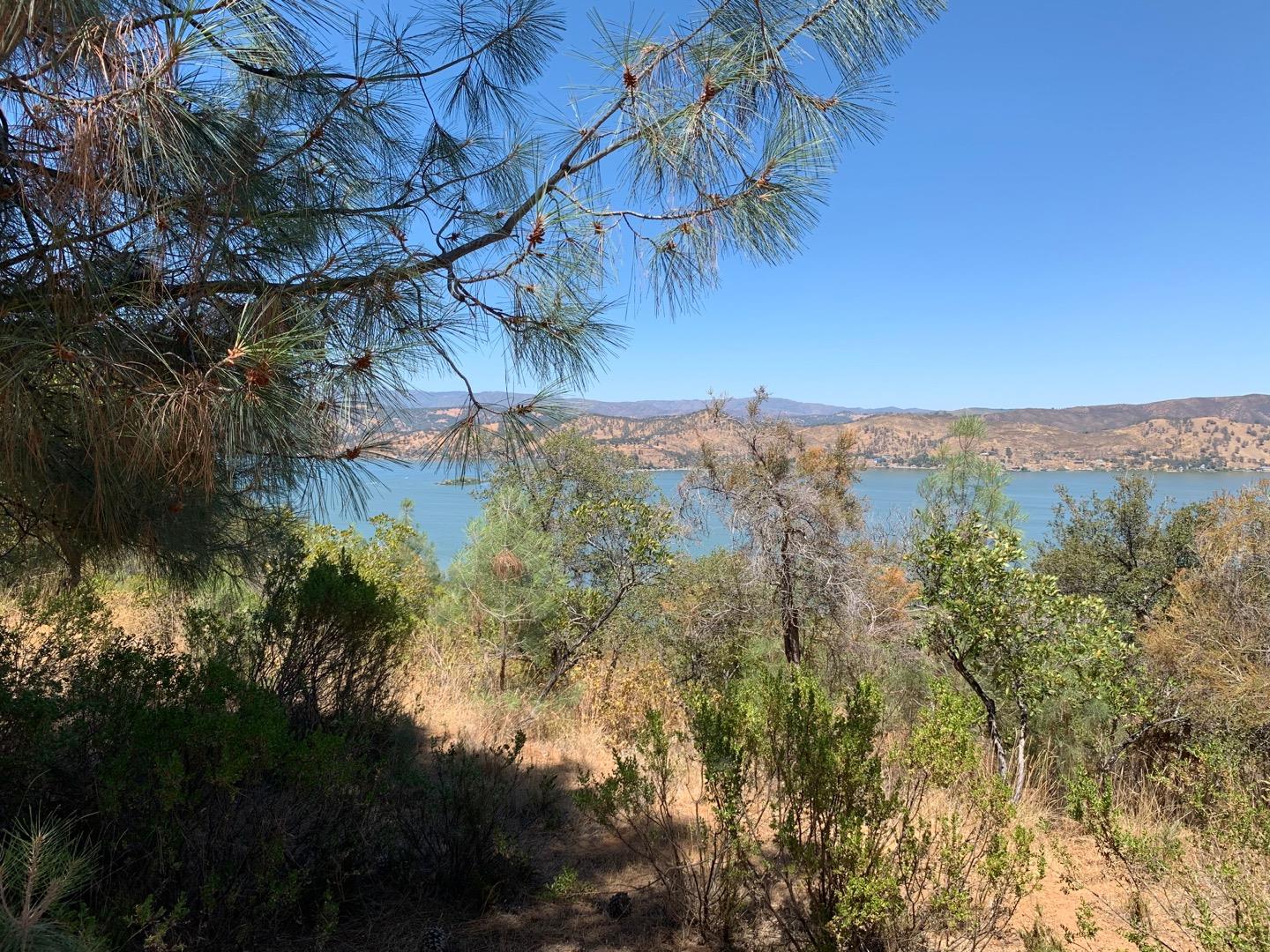 10948 Terrace Way, KELSEYVILLE, California 95451, ,Lots And Land,For Sale,Terrace Way,40965422