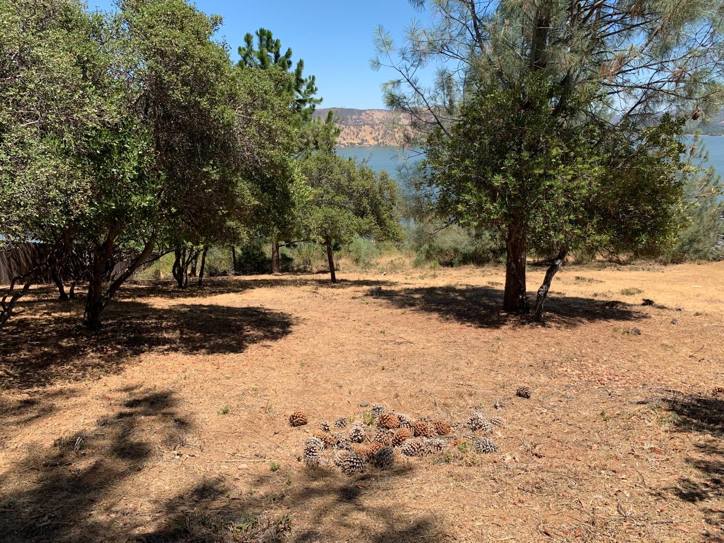 10948 Terrace Way, KELSEYVILLE, California 95451, ,Lots And Land,For Sale,Terrace Way,40965422