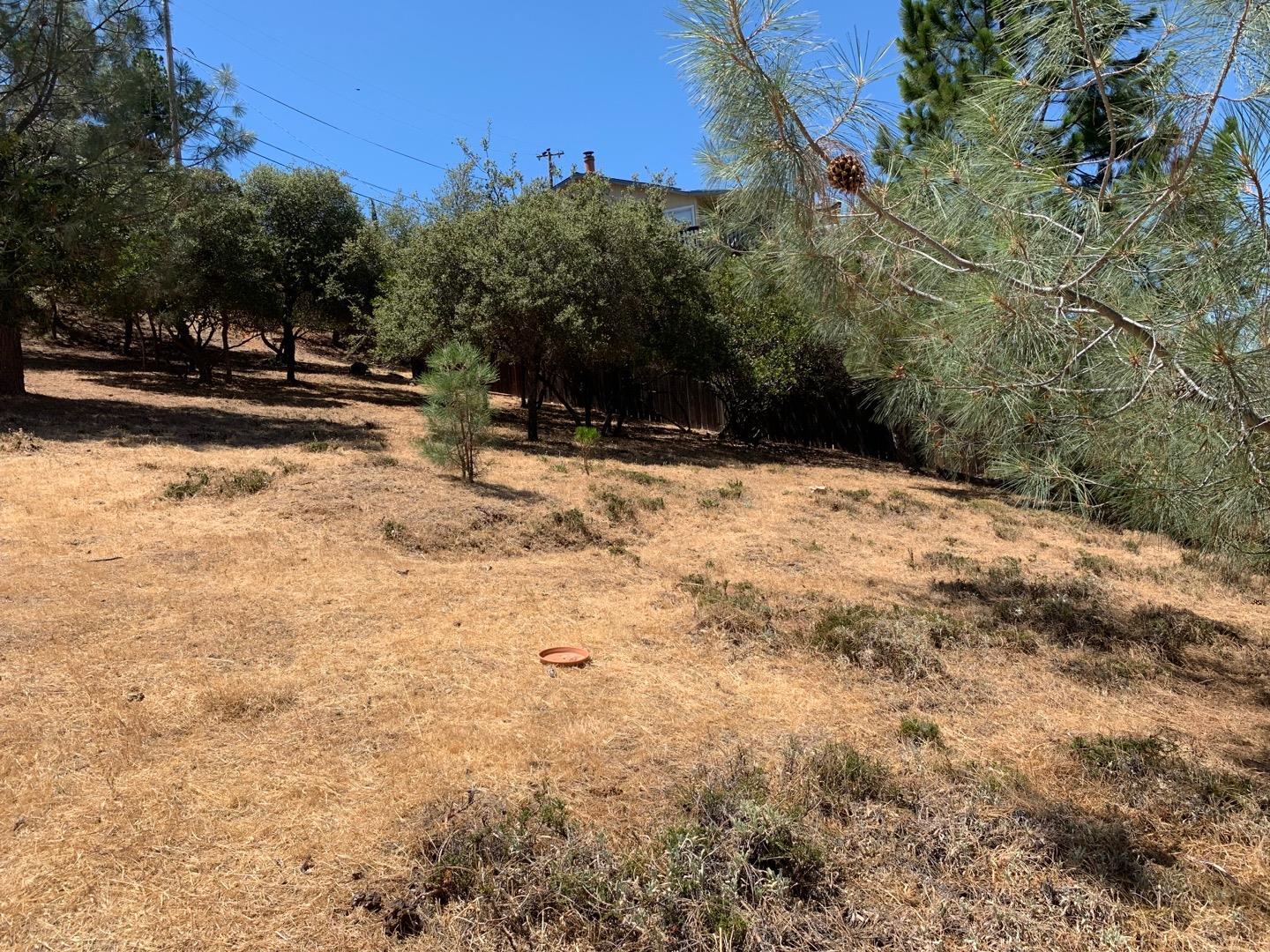 10948 Terrace Way, KELSEYVILLE, California 95451, ,Lots And Land,For Sale,Terrace Way,40965422