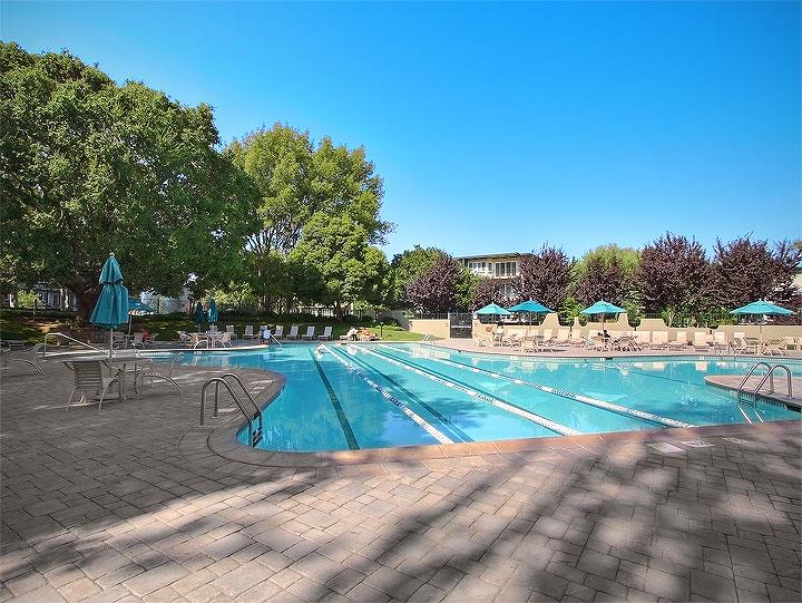 902 Peninsula Ave 315, San Mateo, CA 94401 2 Beds 1 Baths (Sold