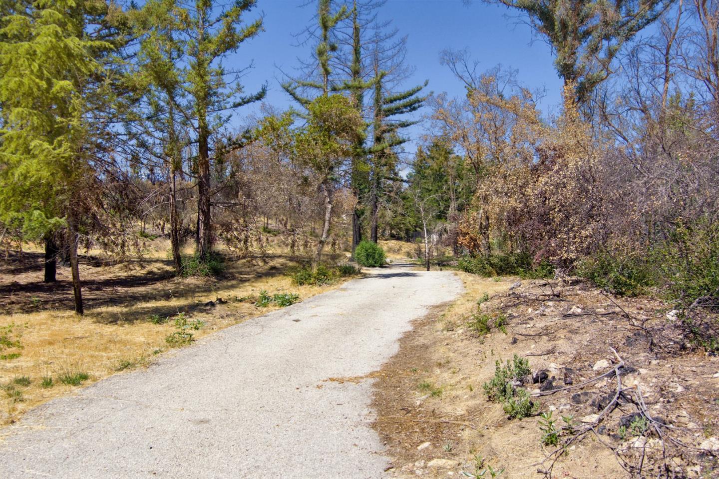 12 Pine Hill Drive, SANTA CRUZ, California 95060, ,Lots And Land,For Sale,Pine Hill Drive,40965664