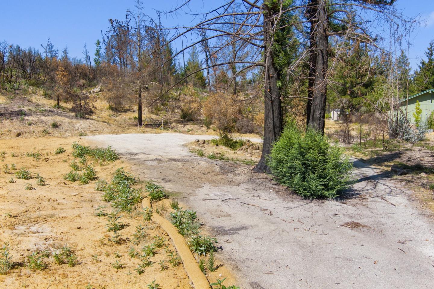 12 Pine Hill Drive, SANTA CRUZ, California 95060, ,Lots And Land,For Sale,Pine Hill Drive,40965664