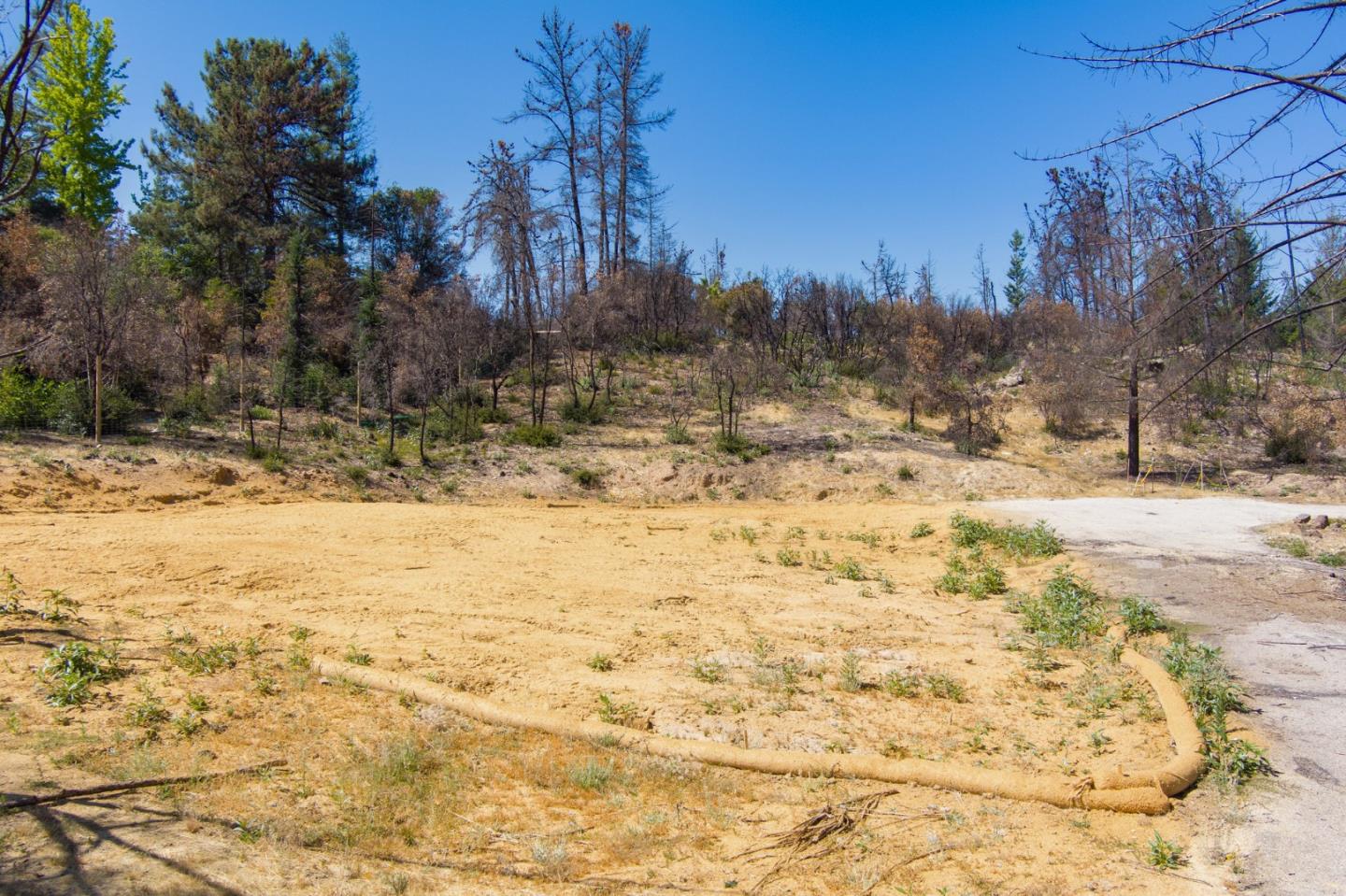 12 Pine Hill Drive, SANTA CRUZ, California 95060, ,Lots And Land,For Sale,Pine Hill Drive,40965664