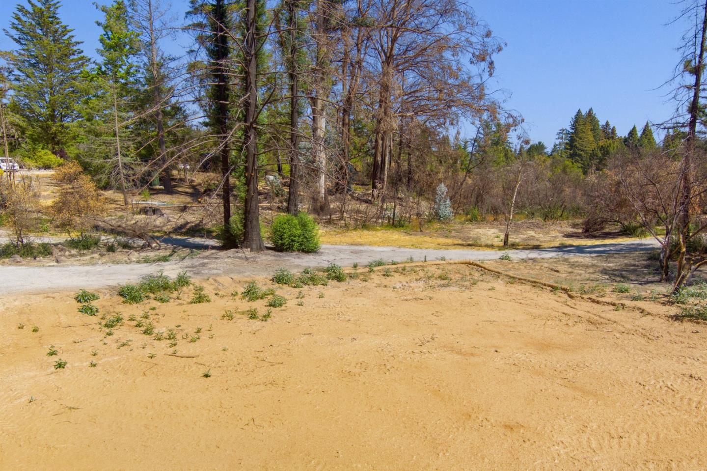 12 Pine Hill Drive, SANTA CRUZ, California 95060, ,Lots And Land,For Sale,Pine Hill Drive,40965664