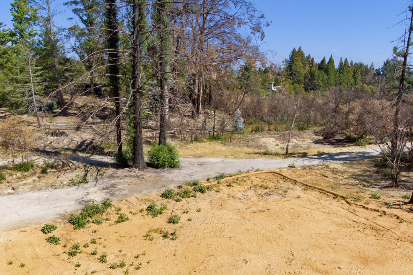 12 Pine Hill Drive, SANTA CRUZ, California 95060, ,Lots And Land,For Sale,Pine Hill Drive,40965664