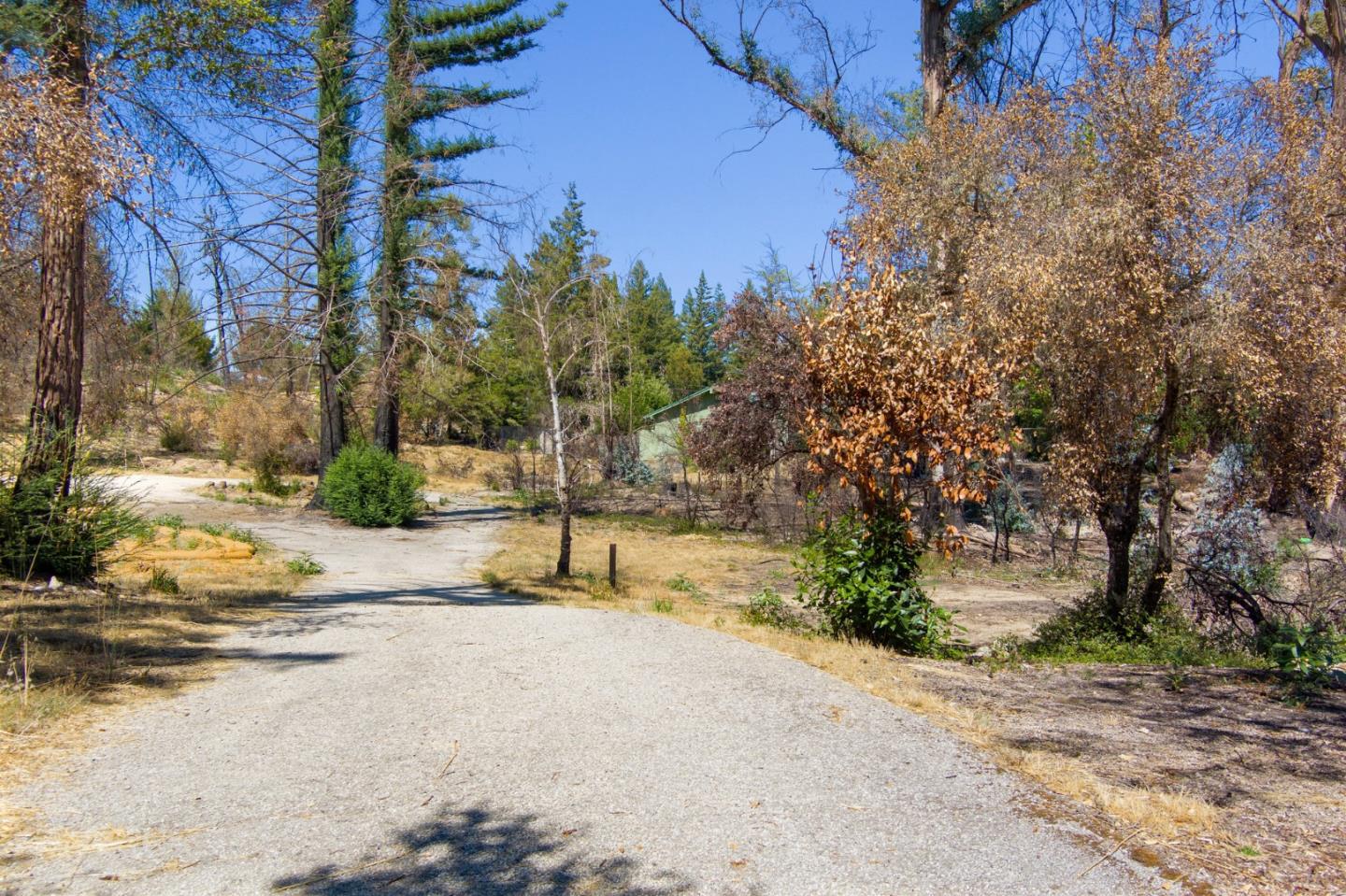 12 Pine Hill Drive, SANTA CRUZ, California 95060, ,Lots And Land,For Sale,Pine Hill Drive,40965664