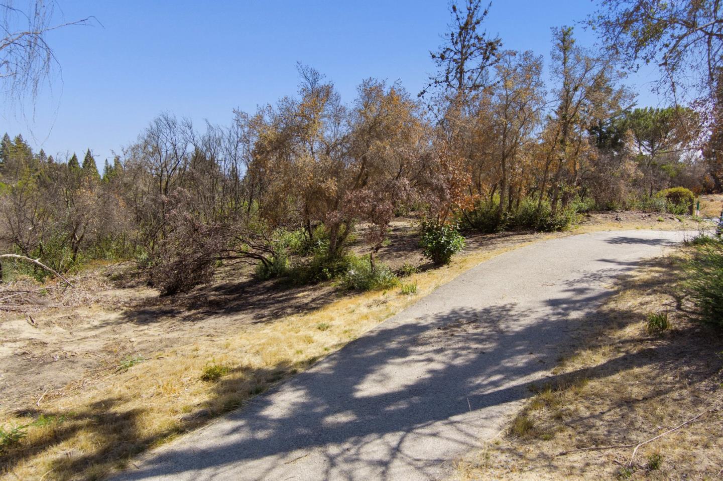 12 Pine Hill Drive, SANTA CRUZ, California 95060, ,Lots And Land,For Sale,Pine Hill Drive,40965664
