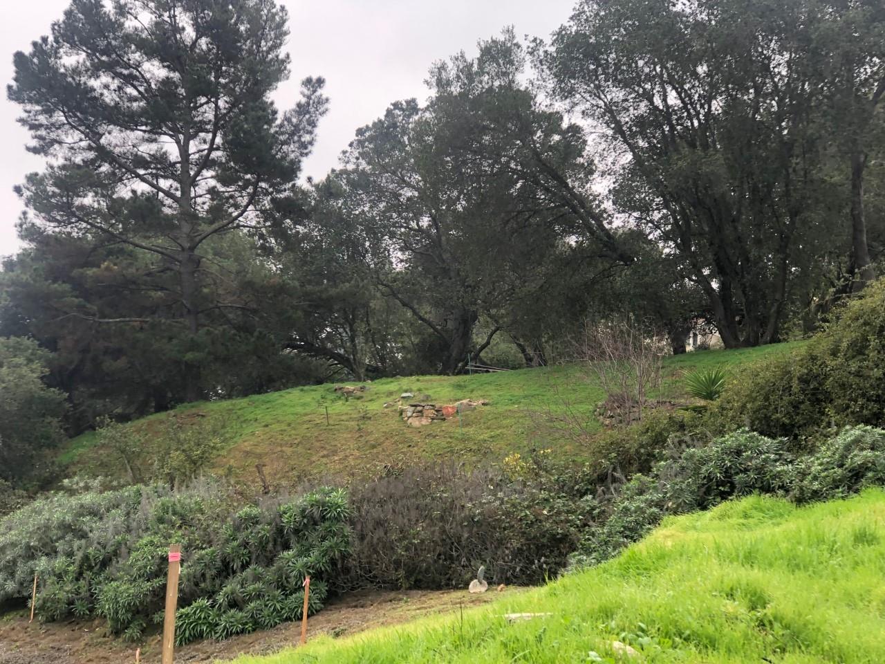 0 London Road, OAKLAND, California 94608, ,Lots And Land,For Sale,London Road,40965432
