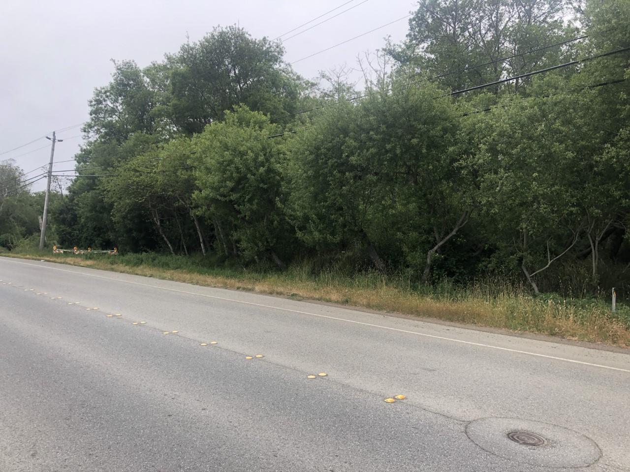0000 Pescadero Road, PESCADERO, California 94060, ,Lots And Land,For Sale,Pescadero Road,40965665
