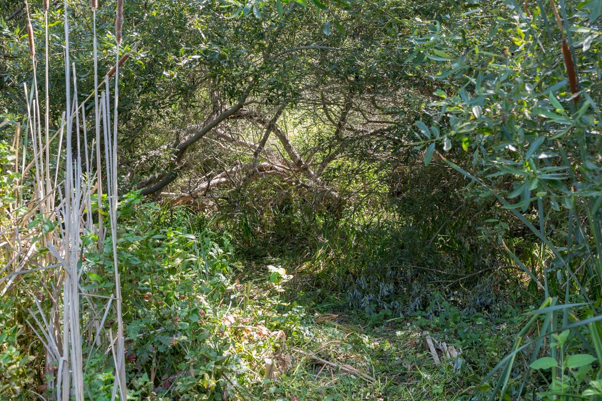 0000 Pescadero Road, PESCADERO, California 94060, ,Lots And Land,For Sale,Pescadero Road,40965665