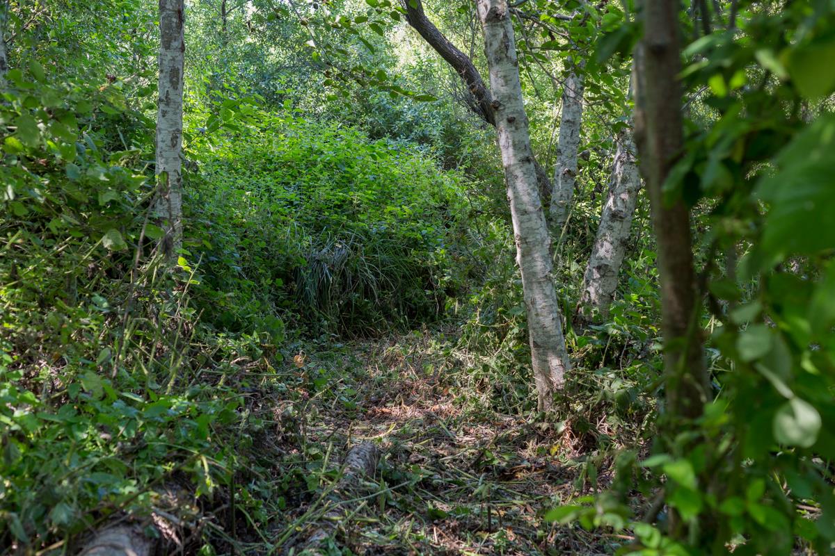 0000 Pescadero Road, PESCADERO, California 94060, ,Lots And Land,For Sale,Pescadero Road,40965665