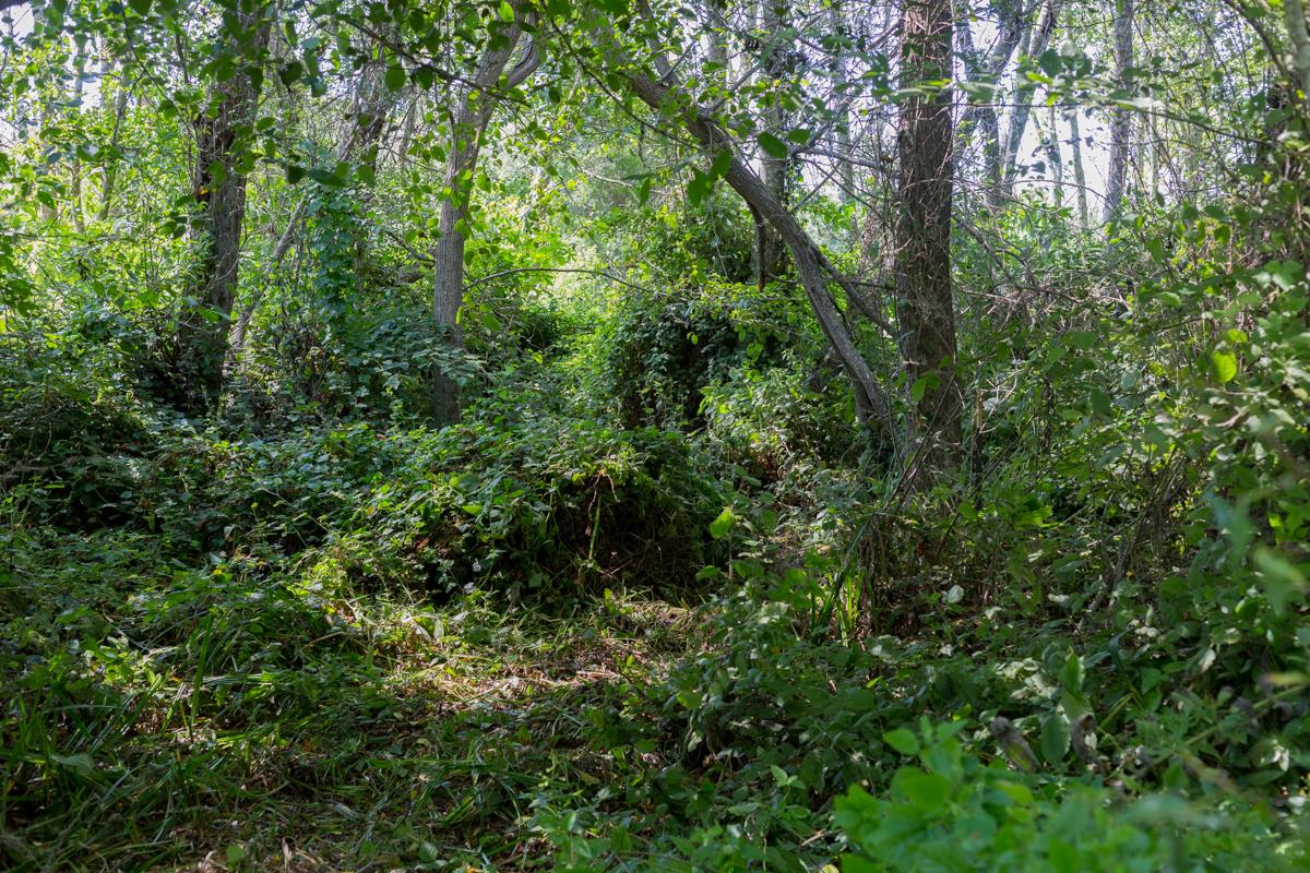 0000 Pescadero Road, PESCADERO, California 94060, ,Lots And Land,For Sale,Pescadero Road,40965665