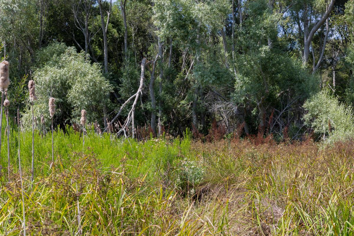 0000 Pescadero Road, PESCADERO, California 94060, ,Lots And Land,For Sale,Pescadero Road,40965665