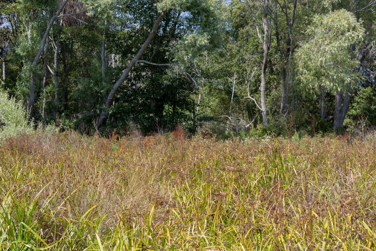 0000 Pescadero Road, PESCADERO, California 94060, ,Lots And Land,For Sale,Pescadero Road,40965665