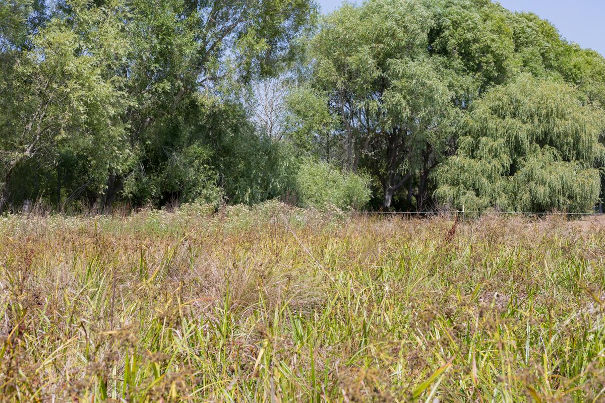 0000 Pescadero Road, PESCADERO, California 94060, ,Lots And Land,For Sale,Pescadero Road,40965665