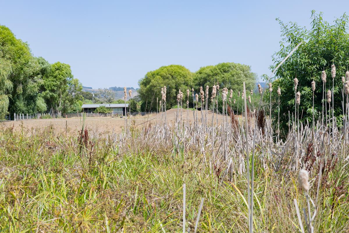 0000 Pescadero Road, PESCADERO, California 94060, ,Lots And Land,For Sale,Pescadero Road,40965665
