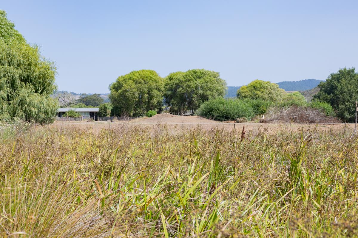 0000 Pescadero Road, PESCADERO, California 94060, ,Lots And Land,For Sale,Pescadero Road,40965665