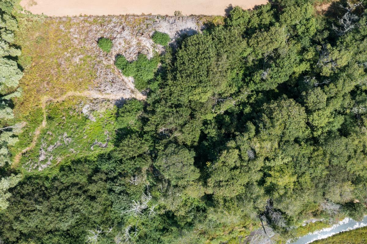 0000 Pescadero Road, PESCADERO, California 94060, ,Lots And Land,For Sale,Pescadero Road,40965665