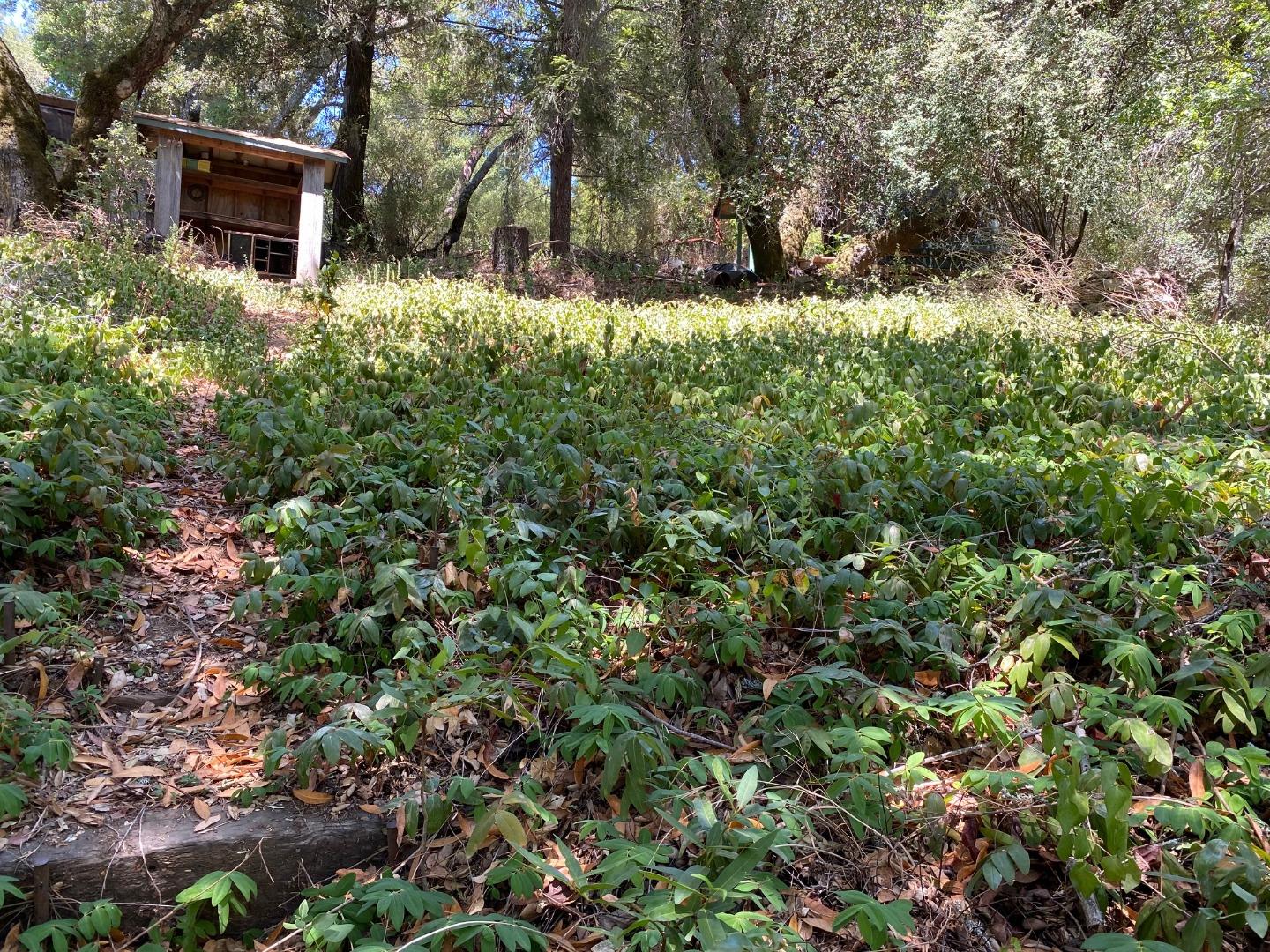 21444 Roaring Water Way, LOS GATOS, California 95033, ,Lots And Land,For Sale,Roaring Water Way,40965443