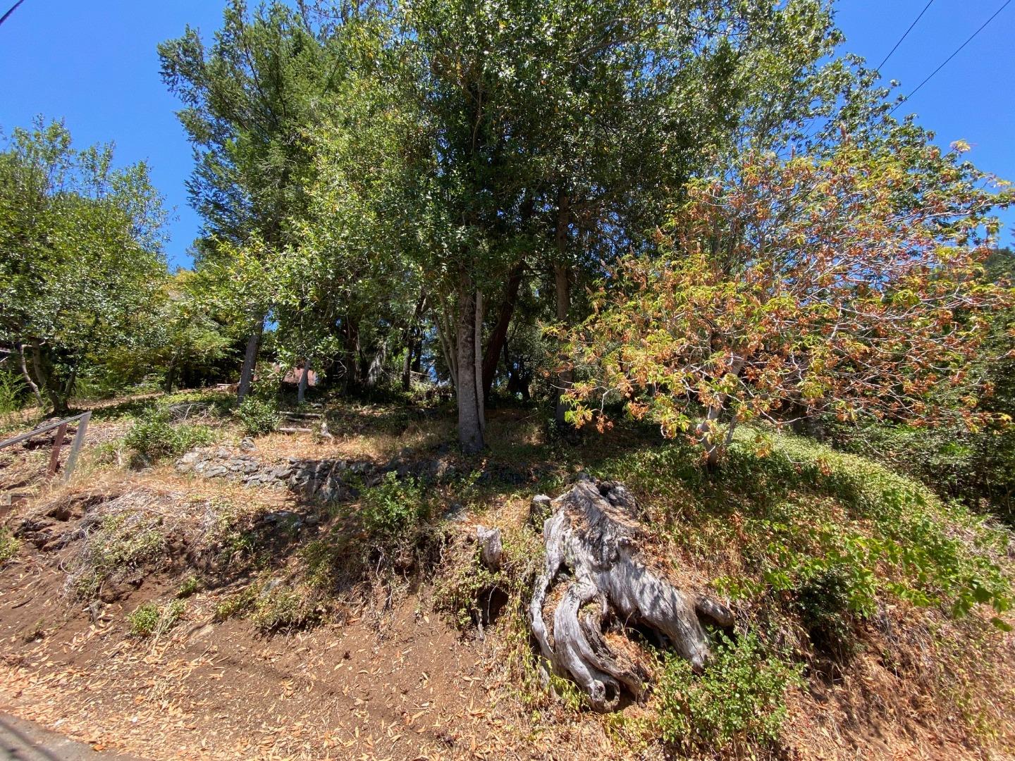 21444 Roaring Water Way, LOS GATOS, California 95033, ,Lots And Land,For Sale,Roaring Water Way,40965443