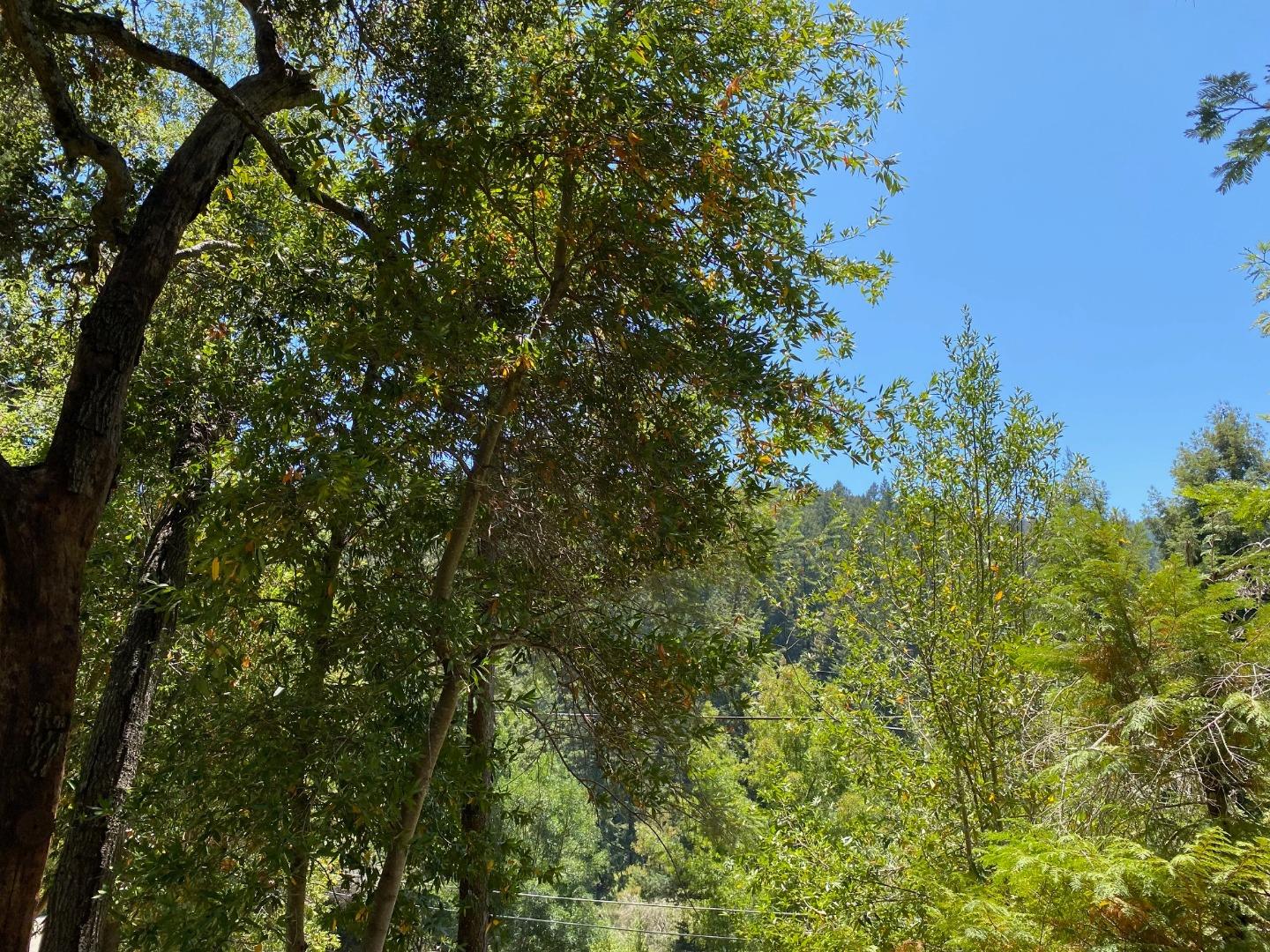 21444 Roaring Water Way, LOS GATOS, California 95033, ,Lots And Land,For Sale,Roaring Water Way,40965443
