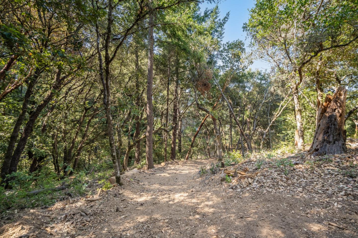 00 Felton Empire Road, SANTA CRUZ, California 95060, ,Lots And Land,For Sale,Felton Empire Road,40965445